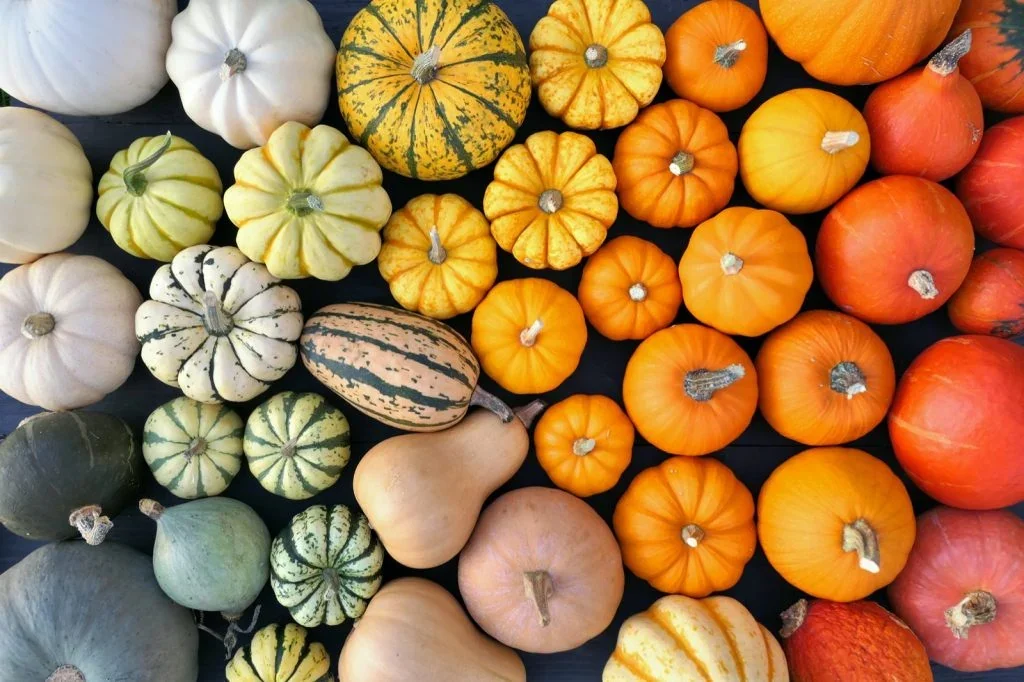 Premium Fall Display Service