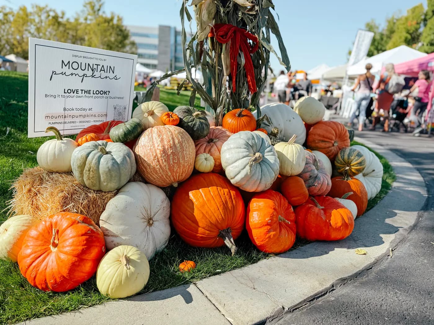 Mountain Pumpkins display at a community farmers market featuring specialty pumpkin varieties