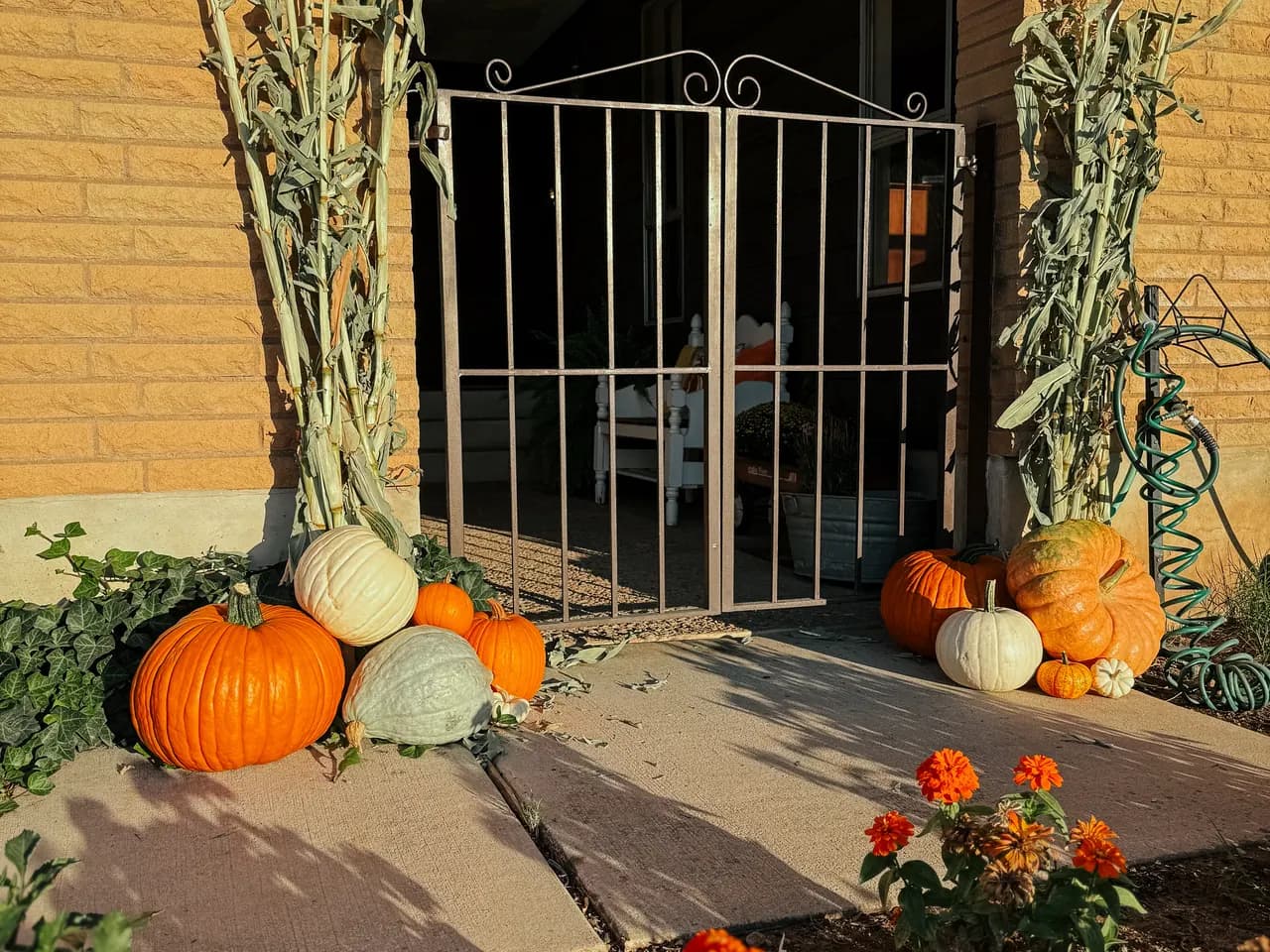 Arched brick doorway with iron gate framed by pumpkins and marigolds in golden hour light
