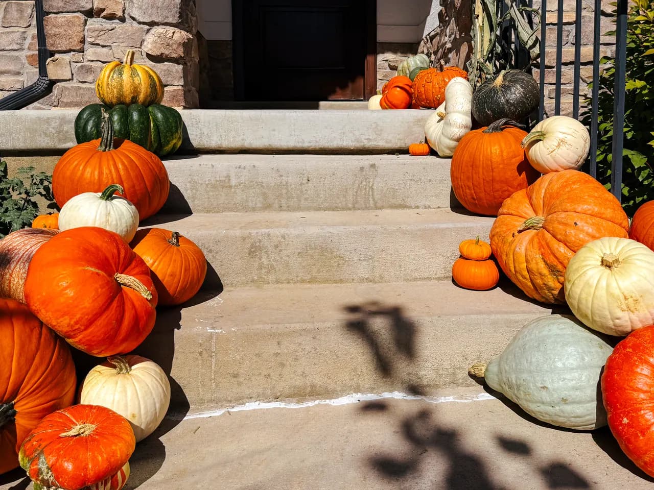 Step-level view of diverse pumpkin varieties flowing across steps, landing, and doorway