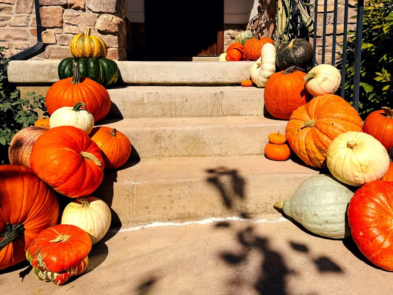 Heirloom pumpkins layered across leveled porch steps